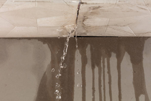 Professional Flood Damage Cleanup technician working in White Pine, TN